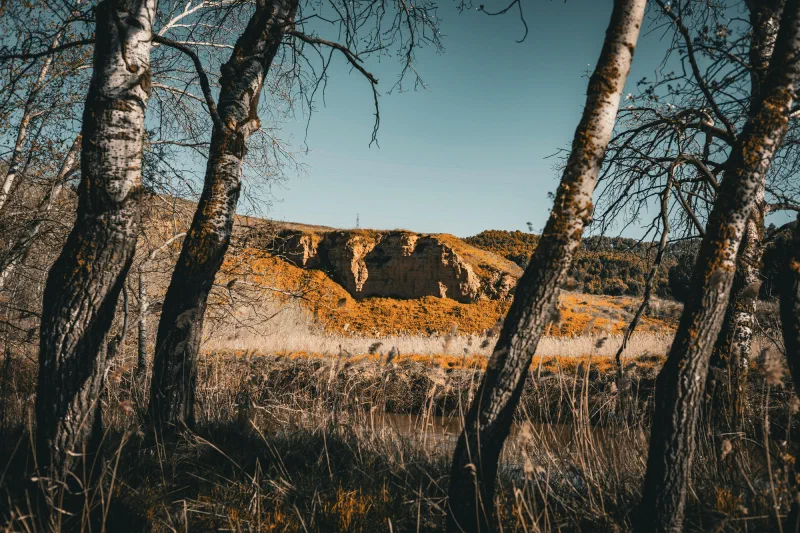 Featured image of post 基础